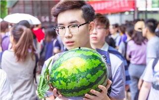 各大校园吃瓜网,揭秘各大校园网热传的幕后故事