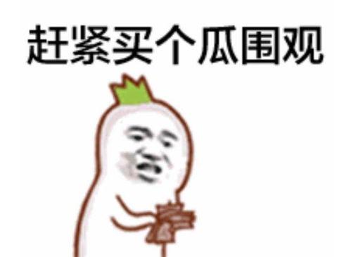 吃瓜群众表情包可爱,吃瓜群众表情包的可爱瞬间